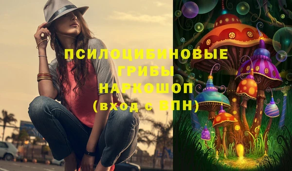 соль курить ск Заводоуковск