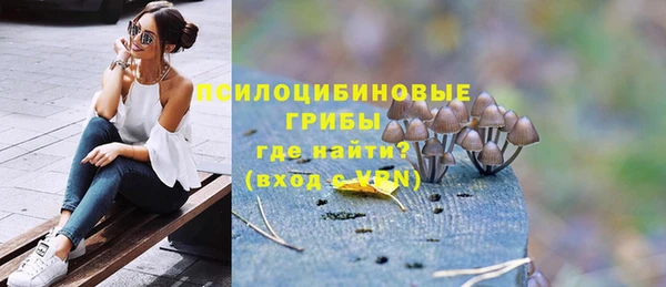 соль курить ск Заводоуковск