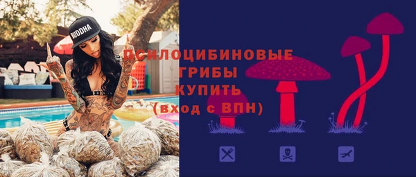 соль курить ск Заводоуковск