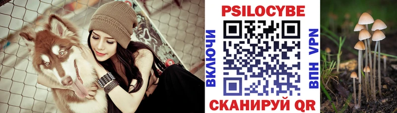 Купить  Джанкой  Галлюциногенные грибы Psilocybe 