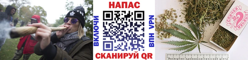 Купить где  Джанкой  Каннабис VHQ 
